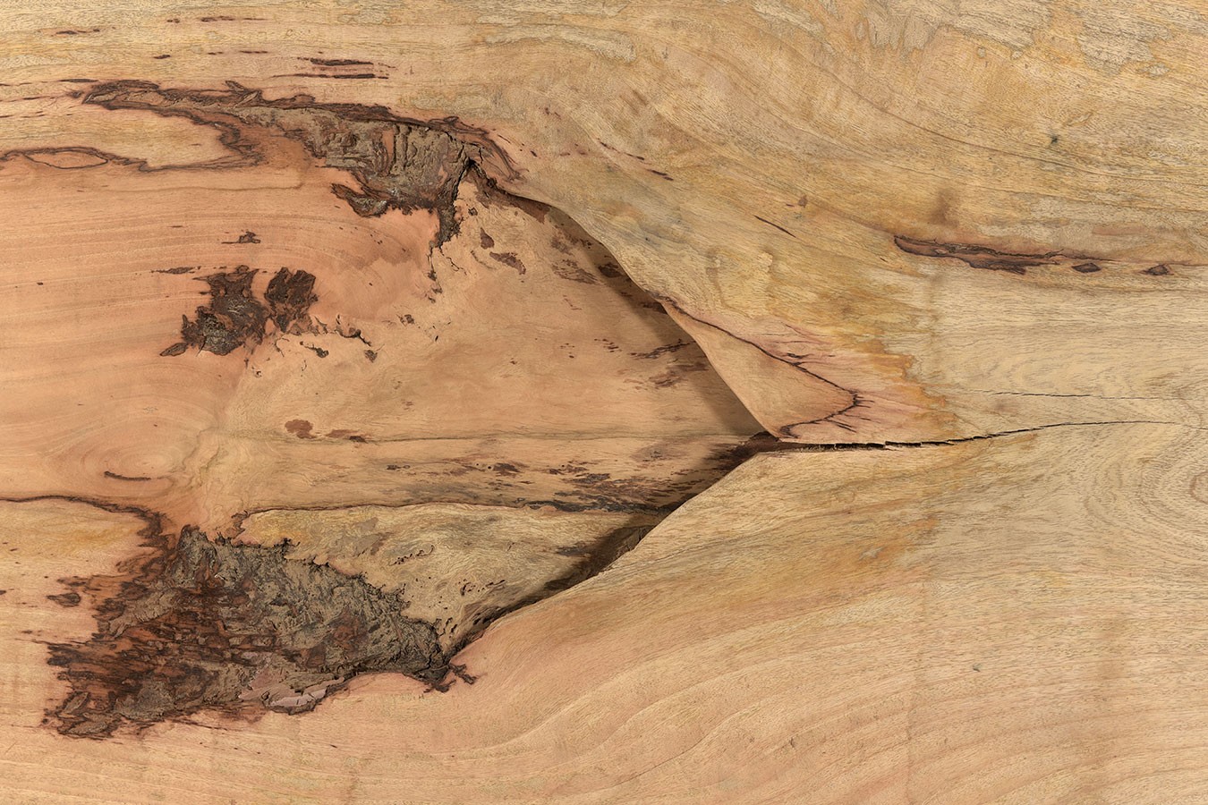 Tischplatte Mangoholz Monolith 340x112 cm
