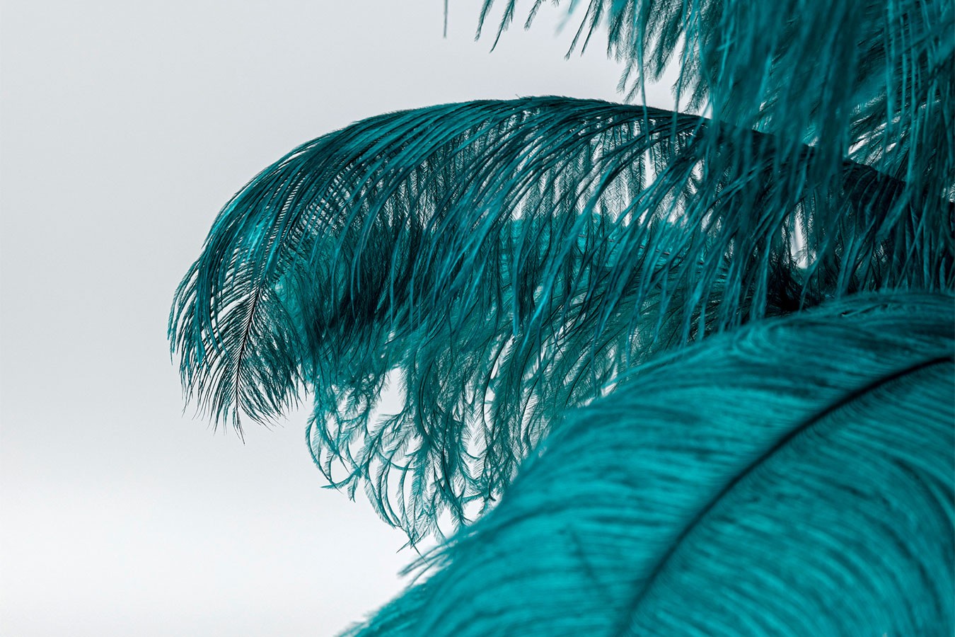 Tischlampe Feather Palm grün