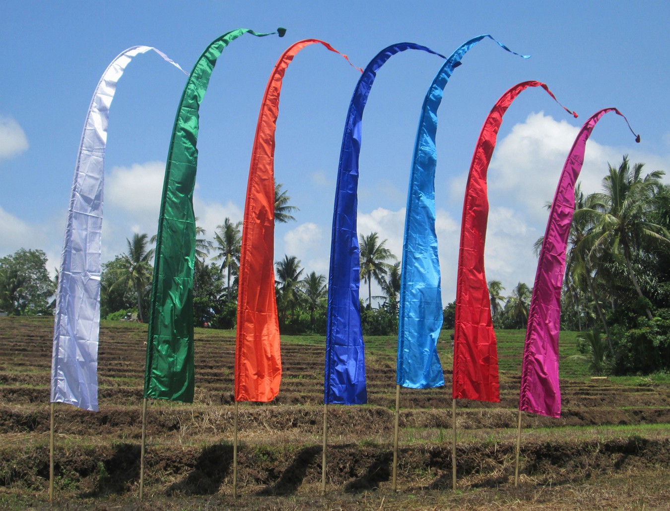 Bali Fahne Sanur 6 Meter fuchsia