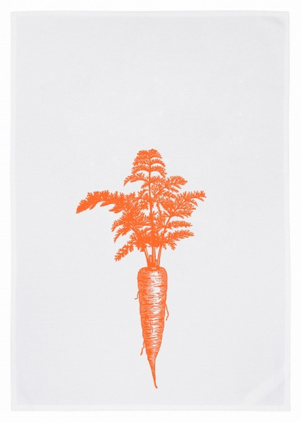 weiss, neon orange/ Karotte