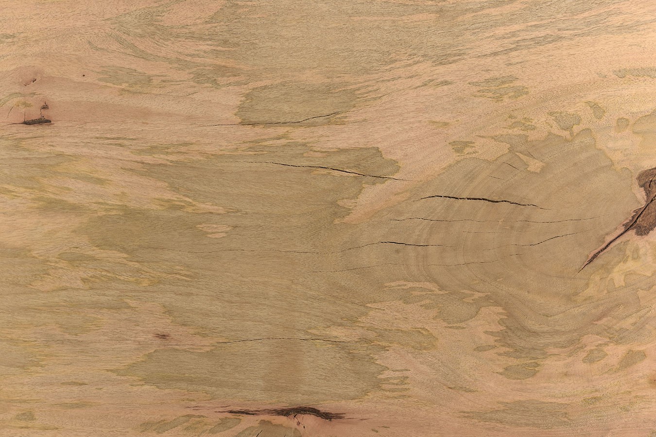 Tischplatte Mangoholz Monolith 260x95 cm
